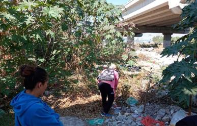 Jornada de reforestación en Ecatepec: sembrarán 100 árboles