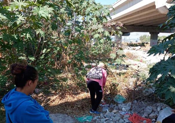 Jornada de reforestación en Ecatepec: sembrarán 100 árboles