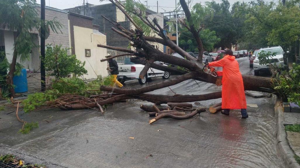 Gobierno de Santa Catarina limpia calles tras tormenta Alberto