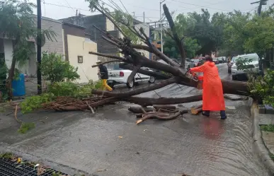 Gobierno de Santa Catarina limpia calles tras tormenta Alberto