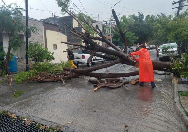 Gobierno de Santa Catarina limpia calles tras tormenta Alberto