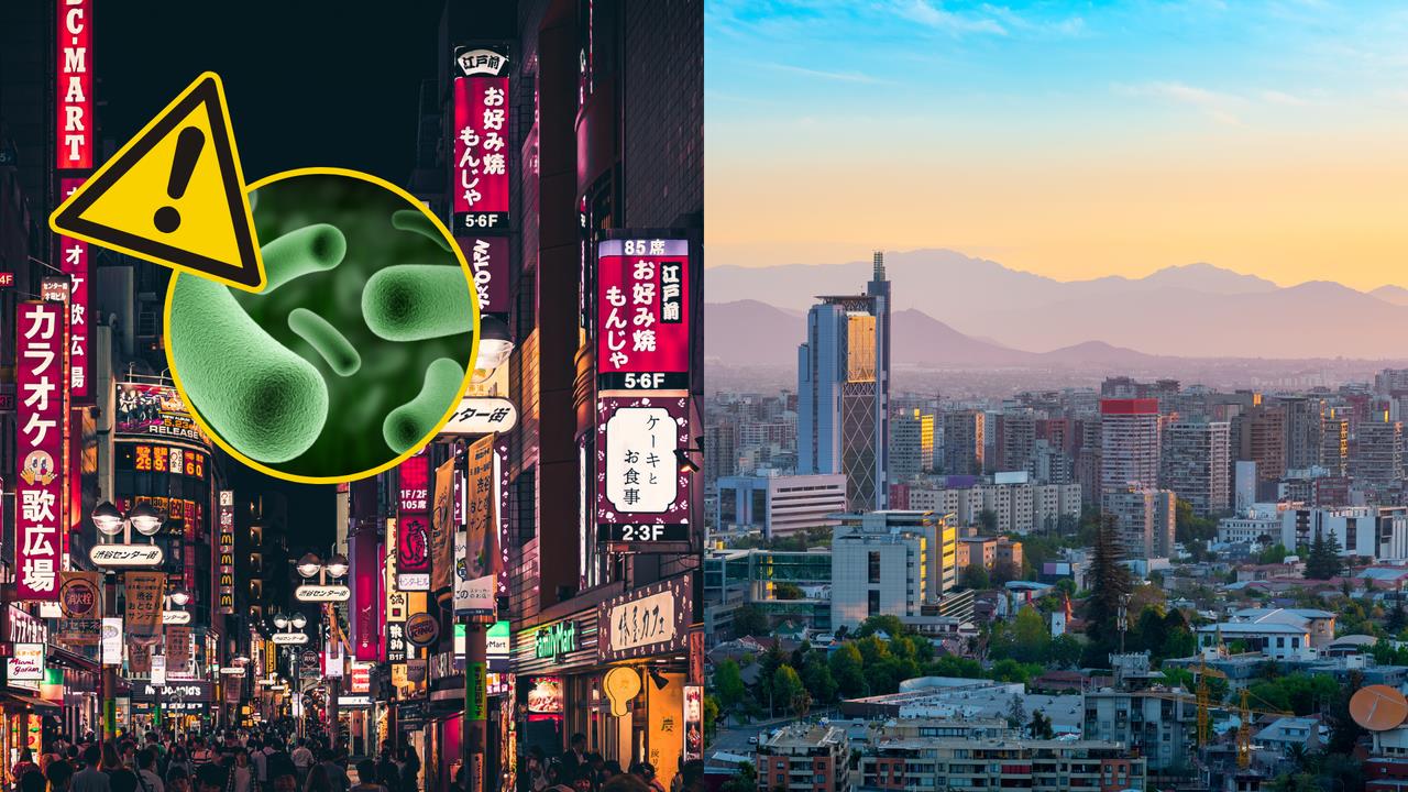 Chile y Japón alerta por bacteria carnívora / Foto: CANVA