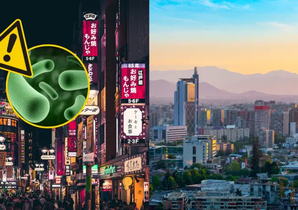 Bacteria carnívora: Japón y Chile en alerta por aumento de casos 