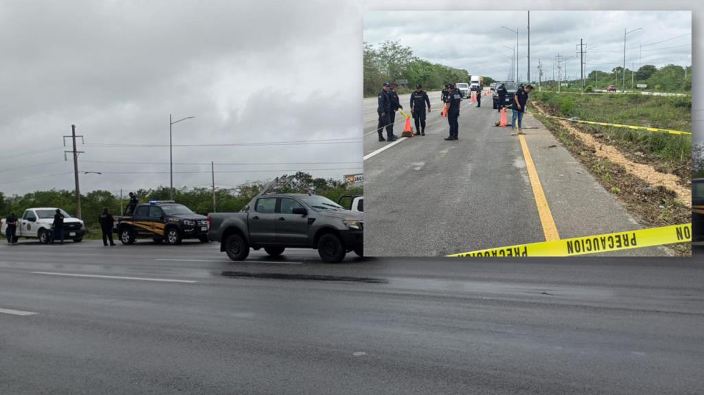 Carretera Mérida-Progreso se cobra otra vida: Encuentran cuerpo tirado en la vía