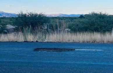 Baches provocan daños considerables en vehículos