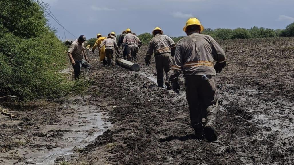 CFE restablece electricidad en Nuevo León, Hidalgo y Tamaulipas tras Alberto