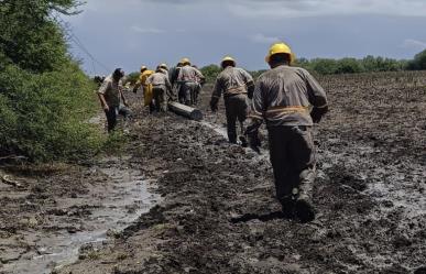 CFE restablece electricidad en Nuevo León, Hidalgo y Tamaulipas tras Alberto