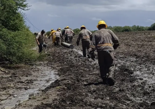 CFE restablece electricidad en Nuevo León, Hidalgo y Tamaulipas tras Alberto