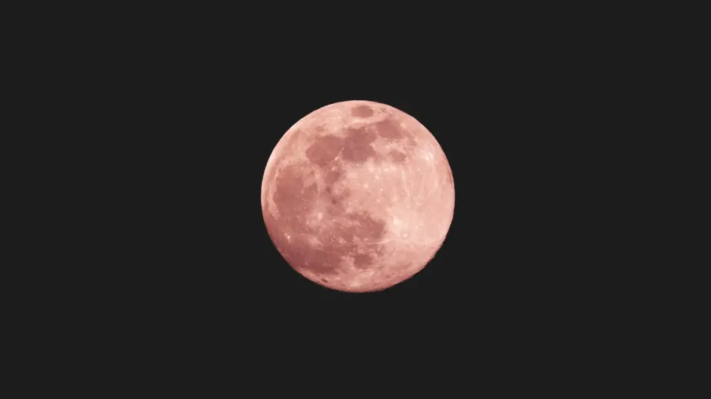 ¿La Luna de Fresa es de color rosa?