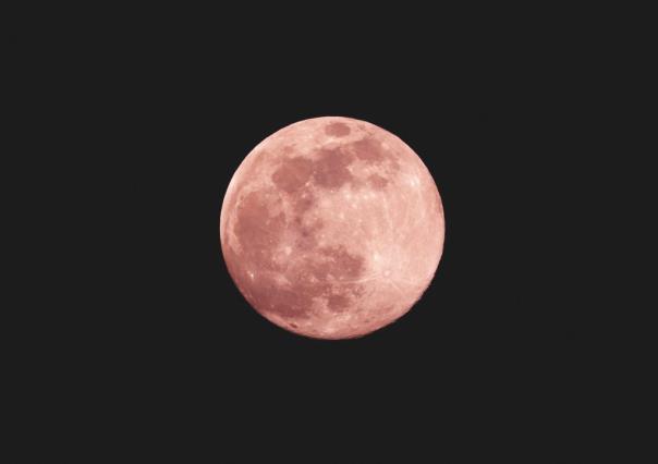 ¿La Luna de Fresa es de color rosa?