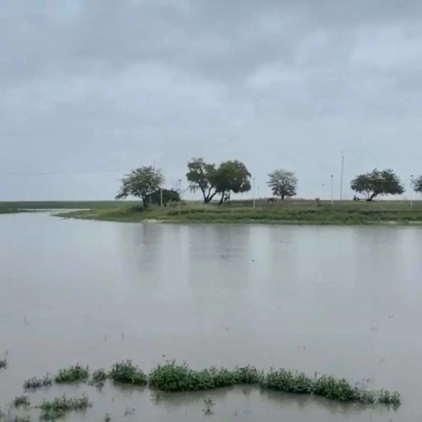 Laguna de Champayan en Altamira, Tamaulipas. Foto: redes sociales