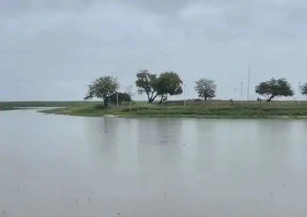 El aumento de las lluvias beneficia la Laguna de Champayan en Altamira