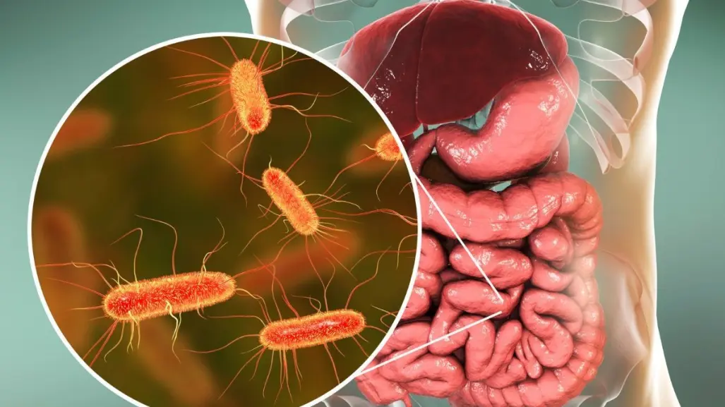 Alerta en Japón por aumento de casos de bacteria carnívora