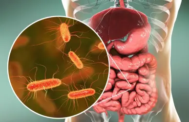 Alerta en Japón por aumento de casos de bacteria carnívora