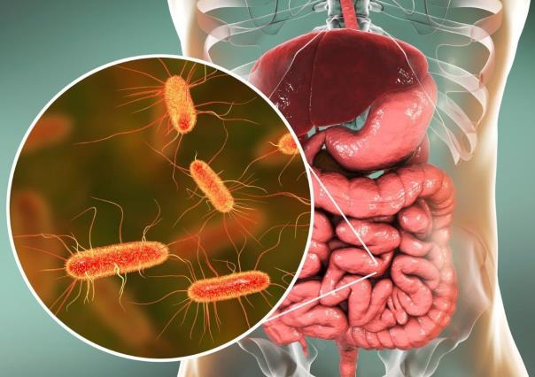 Alerta en Japón por aumento de casos de bacteria carnívora