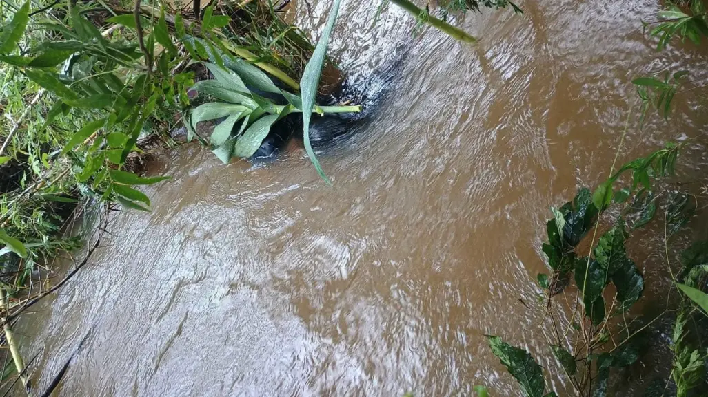 Encuentran a mujer sin vida arrastrada por corriente de río en Cadereyta