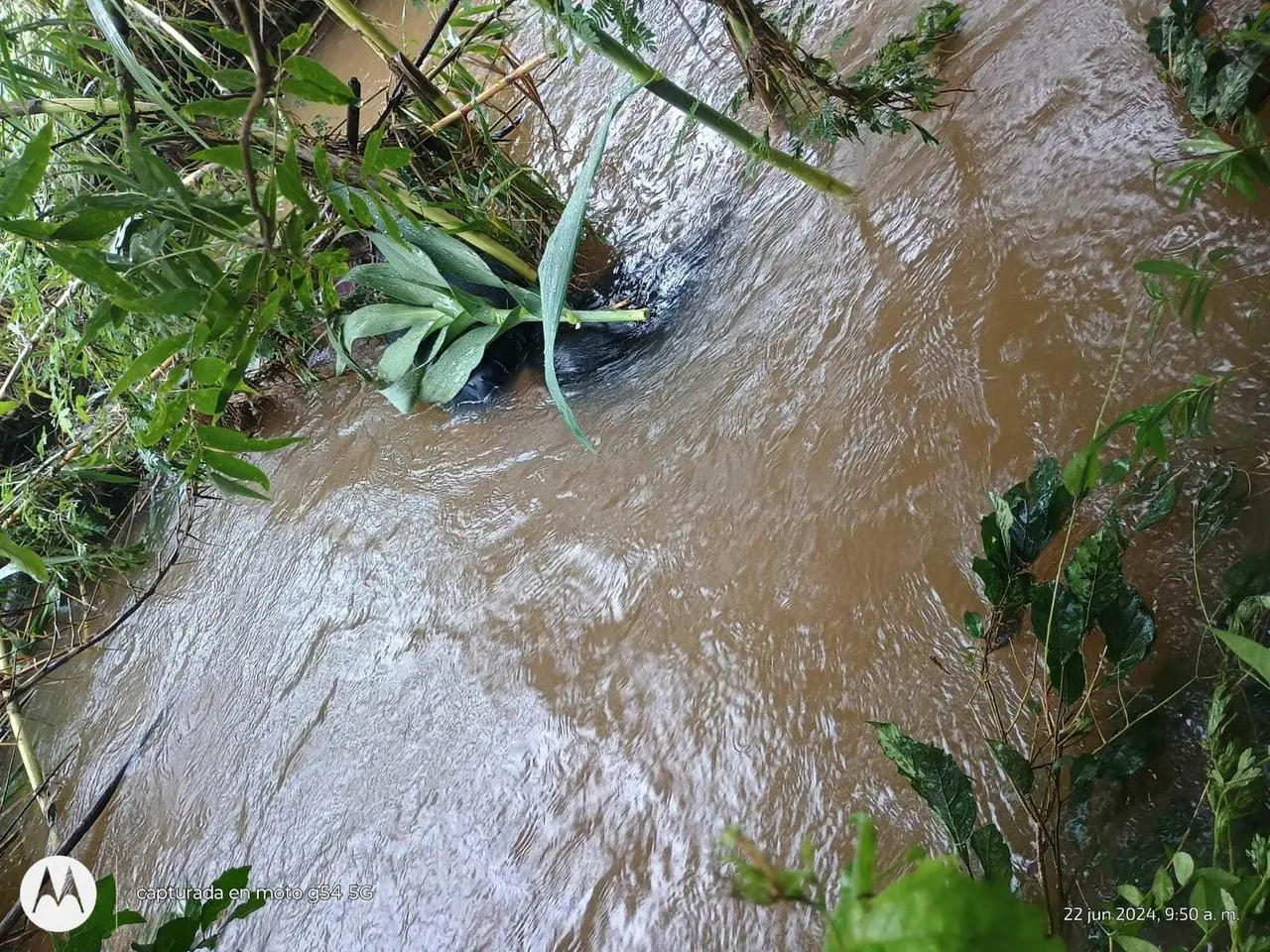 Corriente de río donde se localizó a mujer sin vida en Cadereyta. Foto: Azael Valdés