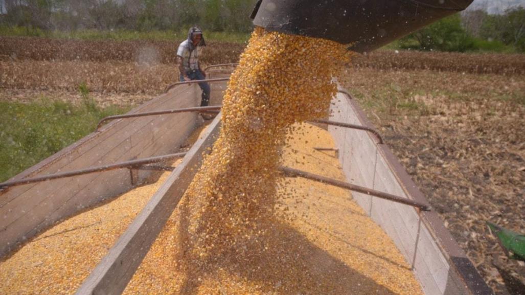 Inscripción en Programa de Precios de Garantía para Productores de Maíz