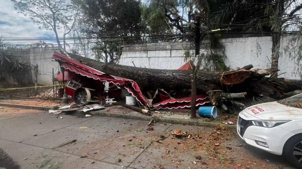 Árbol derriba puesto de gorditas en Tenancingo