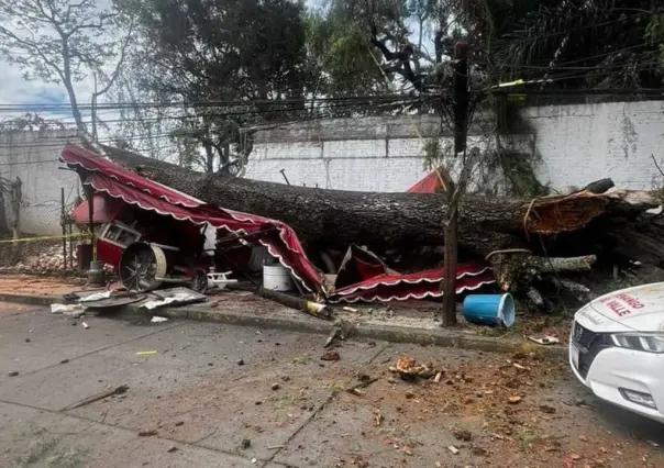 Árbol derriba puesto de gorditas en Tenancingo