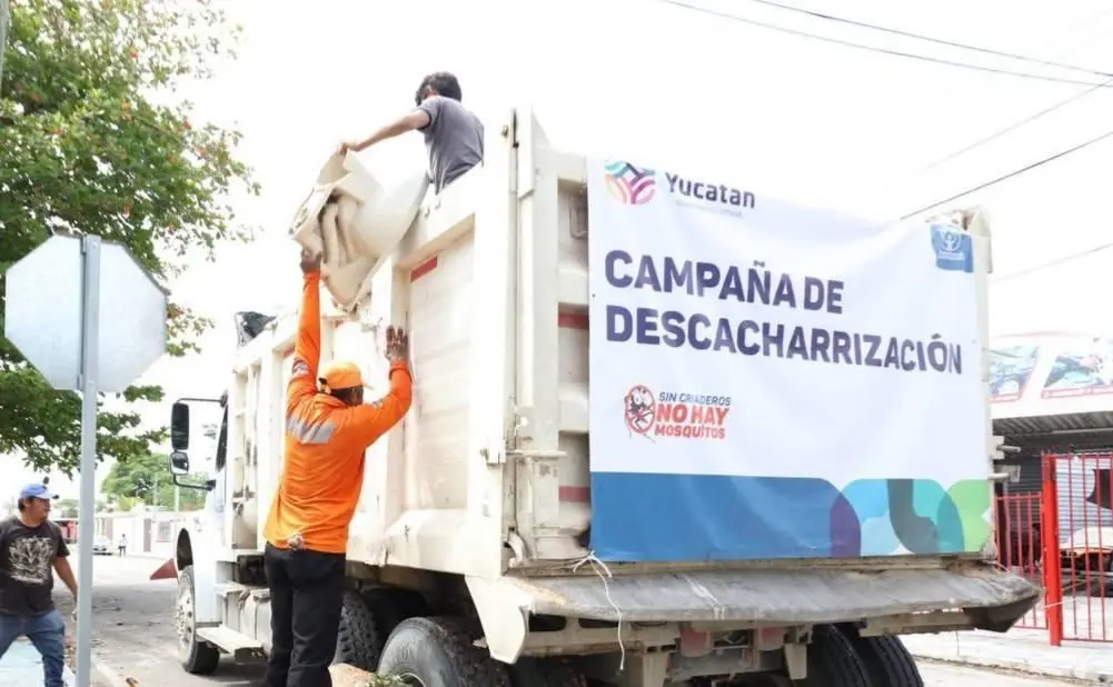 Recolectan casi 350 toneladas de cacharros contra la proliferación de moscos