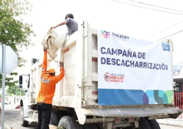 Recolectan casi 350 toneladas de cacharros contra la proliferación de moscos