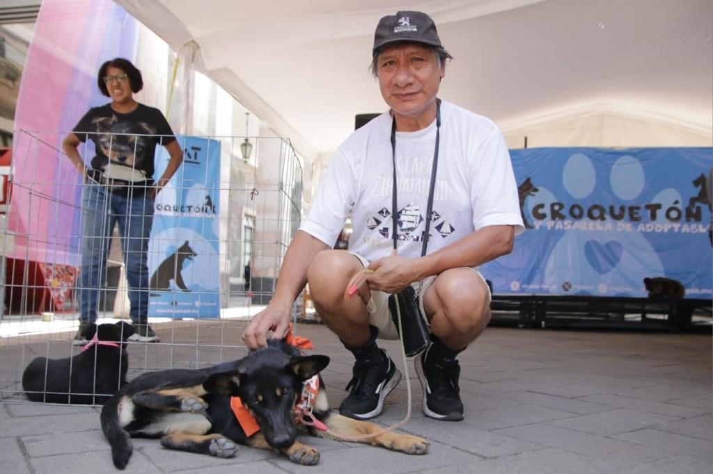 Ayuda a perros y gatos sin hogar en CDMX: Conoce cómo en el Croquetón de Tlalpan