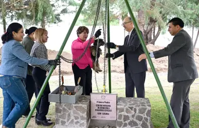 Delfina Gómez: Construyen nuevo centro de atención animal en Edomex