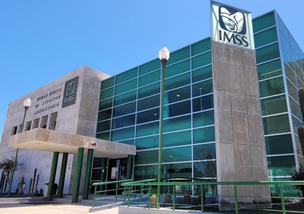 Seguridad social para trabajadores independientes: ¡descubre cómo beneficiarte!