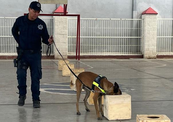 Las Unidades Caninas son aliados de la Policía