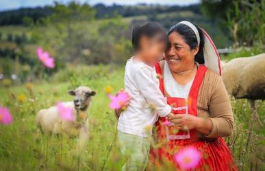 Van contra la violencia de género en pueblos originarios en Edomex