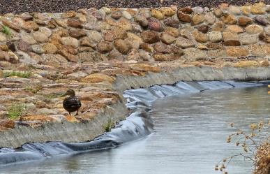 Continuarán las lluvias fuertes en la Sierra de Durango. Esto dice el pronóstico