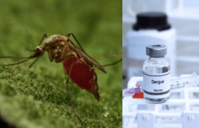 México suma más de 17 mil casos de Dengue en 2024