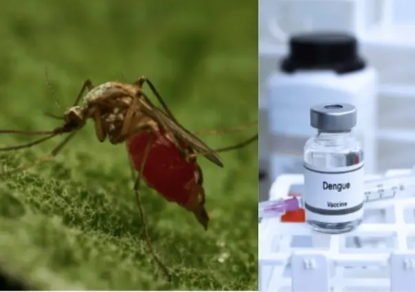 México suma más de 17 mil casos de Dengue en 2024