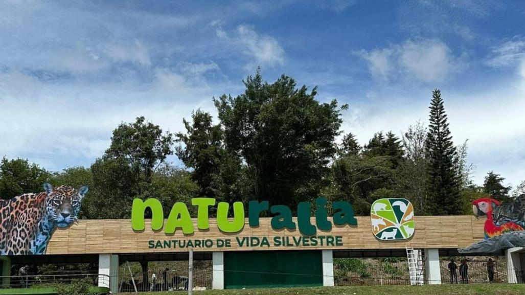 Xalapa tendrá un santuario de animales silvestres rescatados del parque Natura