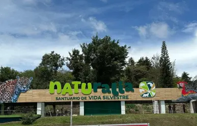 Xalapa tendrá un santuario de animales silvestres rescatados del parque Natura