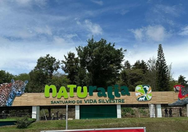 Xalapa tendrá un santuario de animales silvestres rescatados del parque Natura