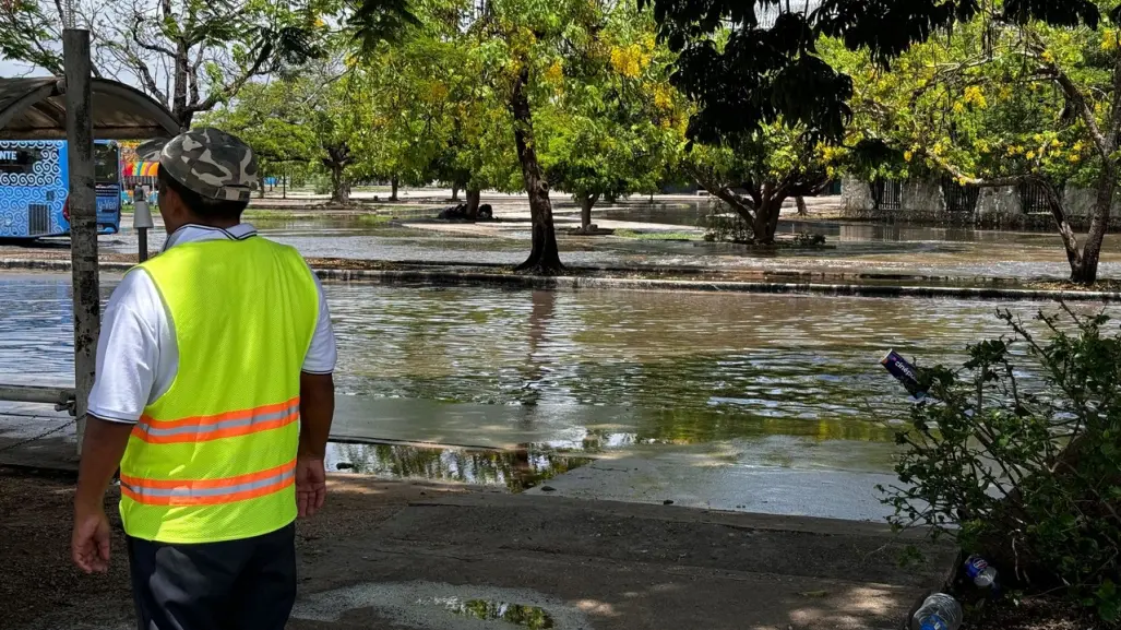 Vigilan dos sistemas con potencial desarrollo ciclónico, para los próximos días