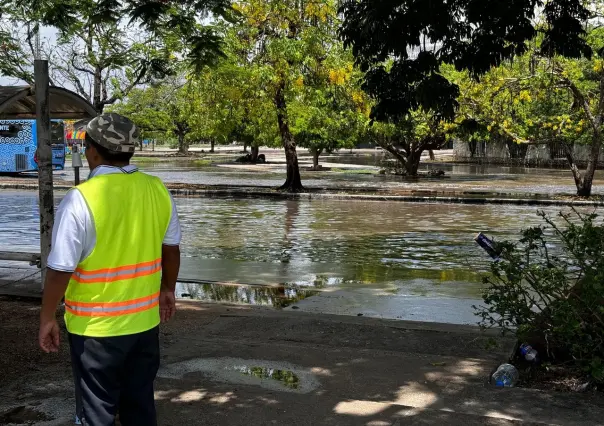 Vigilan dos sistemas con potencial desarrollo ciclónico, para los próximos días