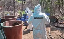 Desmantelan tres laboratorios clandestinos en Sinaloa