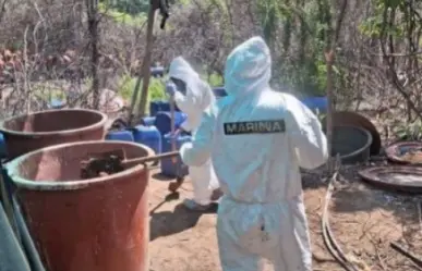 Desmantelan tres laboratorios clandestinos en Sinaloa