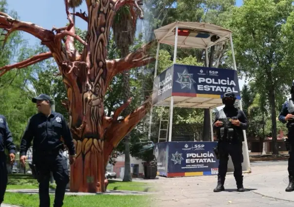 Cantarranas y Las Alamedas libres de drogas e indigencia gracias a las Policías