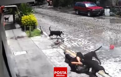 Anciana de 80 años atacada por manada de perros en La Palma, Querétaro