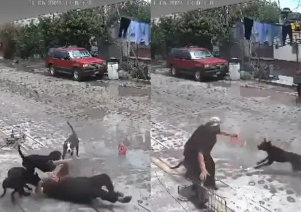 #VIDEO: Perros atacan a mujer de la tercera edad y la mandan al hospital