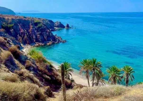 Visita la playa El Carrizalito en La Paz, ¿cómo llegar?