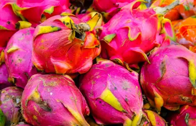 Descubre las frutas tropicales de Yucatán: sabores irresistibles