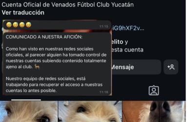 Venados de Yucatán,  hackeados: las cuentas oficiales del club fueron vulneradas