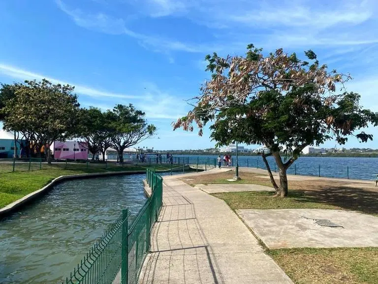 Laguna del Carpintero. Foto: redes sociales