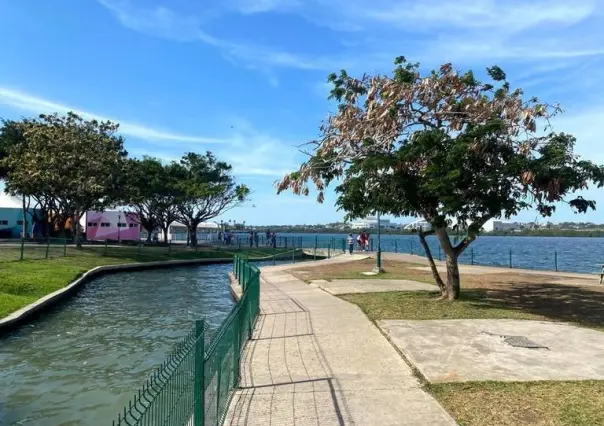 Se viene multa para Chucho Nader por obra en Laguna del Carpintero