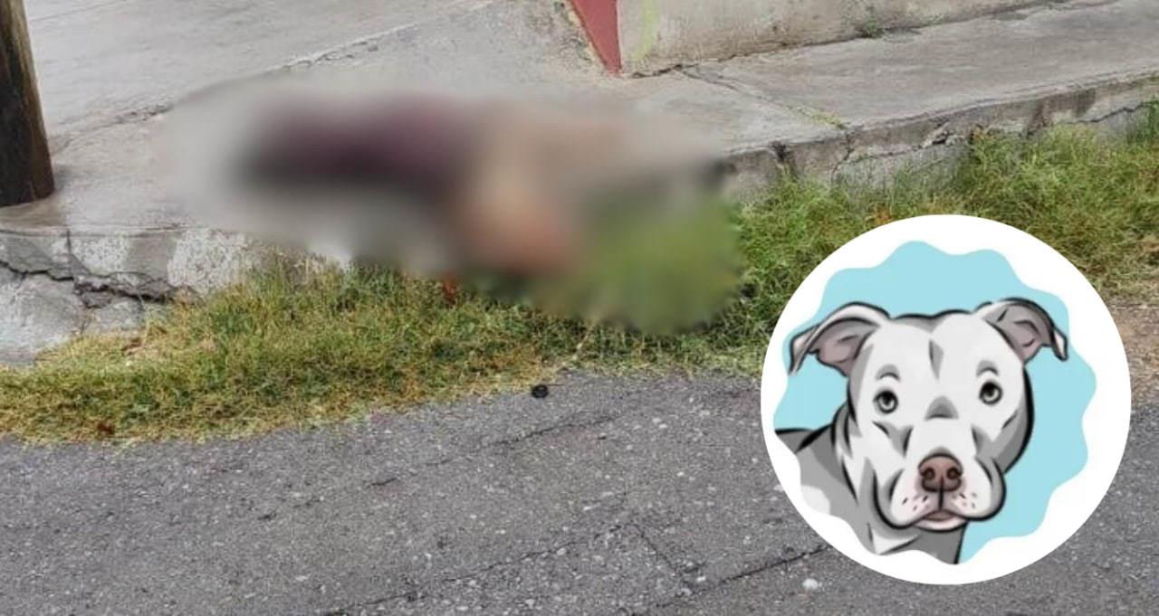 Wero murió apuñalado presuntamente por una mujer en Saltillo.  (Fotografía: Archivo)